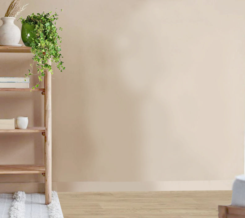 Hedera Helix Hanging (Hedera helix, the common ivy, English ivy, European ivy, or ivy) (Copy)