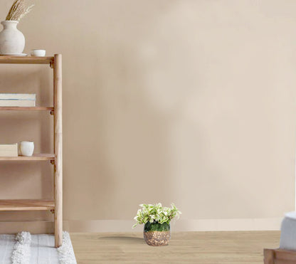 Tradescantia zebrina - Brightness